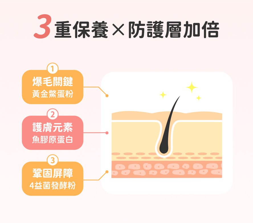 貓咪皮毛保健三重奏：爆毛、護膚、鞏固屏障。